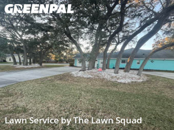 Grass Cutting in Spring Hill, 34608, Lawn Maintenance by The Lawn Squad, work completed in Dec , 2025