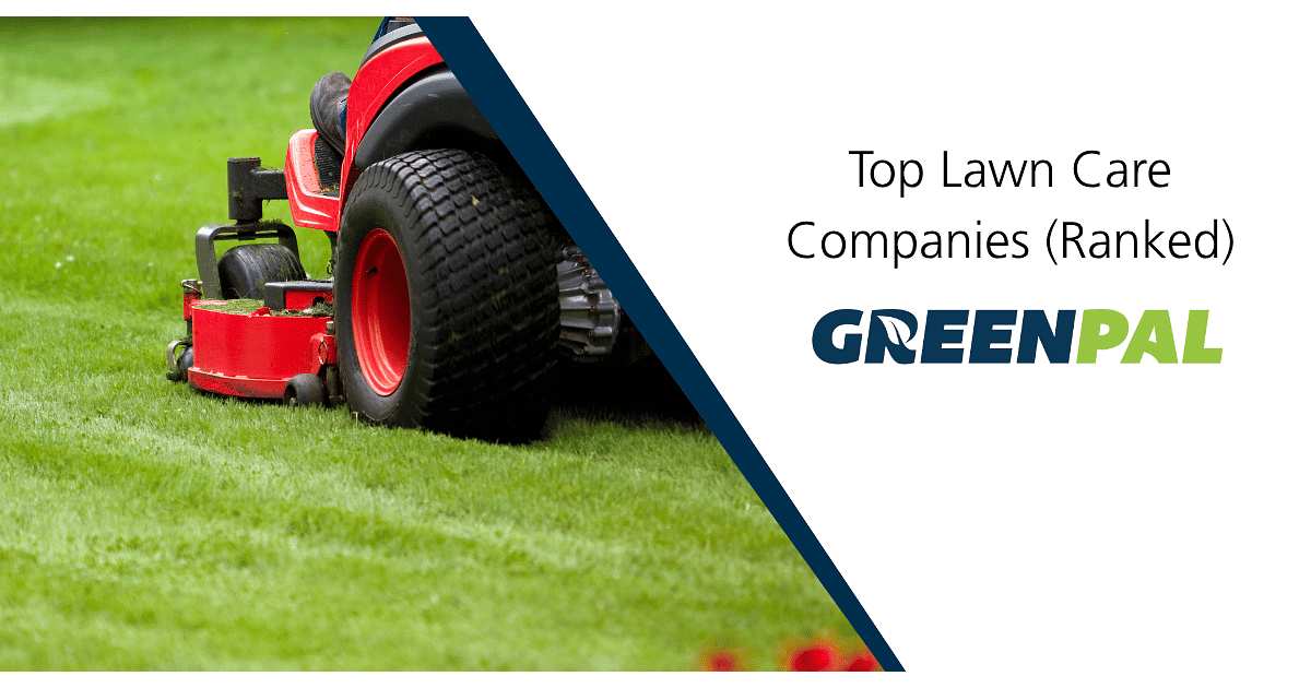 Healthy Lawn Full Website (Copy, 234 selected)