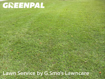 Lawn Mowing Service nearby Gainesville, FL, 