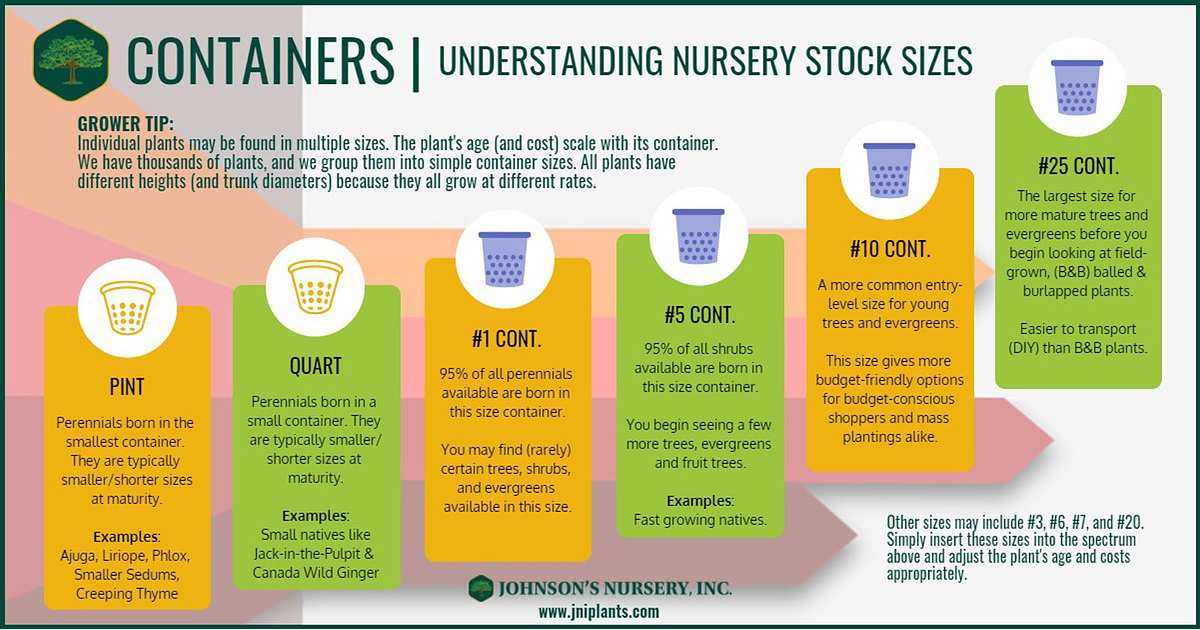 Understanding Plant Contanier Sizes at the Nursery | GreenPal