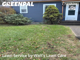 Lawn Cut nearby Grand Rapids, MI, 