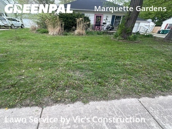 Yard Cuttingin Joliet,60435,Lawn Mowing Service by Vic’s Construction , work completed in Jun , 2026