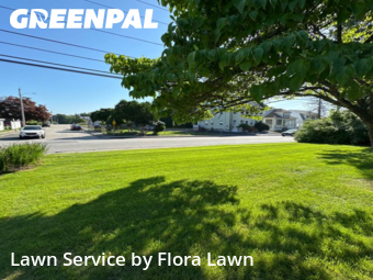 Grass Cut nearby Webster, RI, 