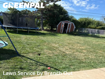 Lawn Care Service nearby Kenmore, NY, 
