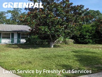 Lawn Cutting nearby Brandon, FL, 