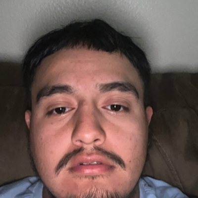 Smiling professional man with a beard