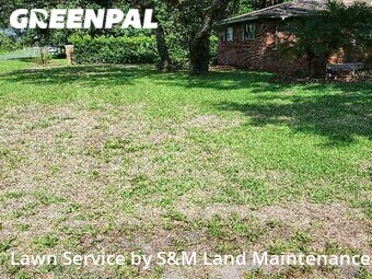Lawn Cutting nearby Tavares, FL, 