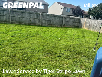 Lawn Cut nearby Omaha, NE, 