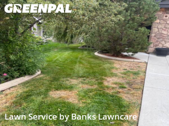 Yard Management in Meridian, 83646, Lawn Maintenance by Banks Lawncare, work completed in Nov , 2025