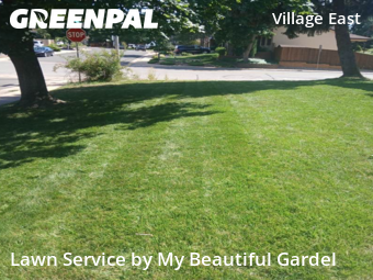 Lawn Mow nearby Aurora, CO, 