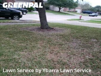 Lawn Mowing Service nearby Baytown, TX, 