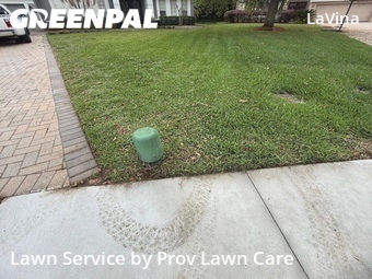 Lawn Cutting nearby Orlando, FL, 