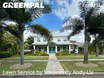 Lawn Mow nearby St. Petersburg, FL, 