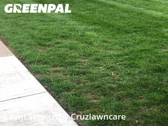 Lawn Mow nearby Fishers, IN, 