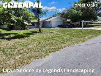 Lawn Care Service nearby Spring Hill, FL, 