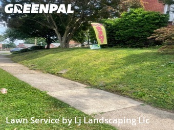 Grass Cut nearby Drexel Hill, DE, 