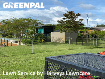 Lawn Mow nearby Spring Hill, FL, 