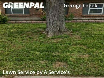 Yard Mowing nearby Thornton, CO, 