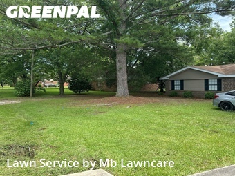 Lawn Cutting nearby Headland, AL, 