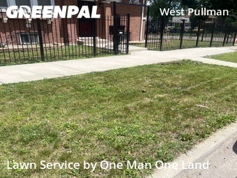 Grass Cut nearby Chicago, IL, 