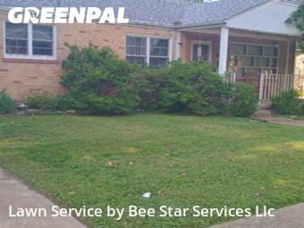 Lawn Carein Ferguson,63135,Yard Cutting by Bee Star Services Llc, work completed in Nov , 2025
