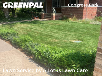 Grass Cut nearby Denver, CO, 