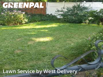 Yard Cutting nearby Albany, NY, 