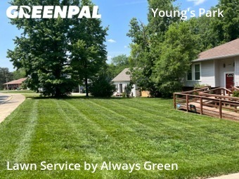 Lawn Cutting nearby Overland Park, MO, 
