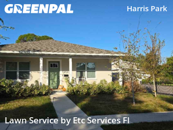 Landscaping Maintenance In St. Petersburg,33714,Landscapers by Etc Services Fl, work completed in Nov , 2025