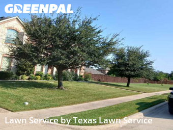 Yard Mowingin Roanoke,76262,Lawn Care Service by Texas Lawn Service, work completed in Jan , 2026