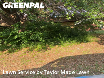 Grass Cut nearby Denton, TX, 