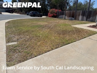 Work completed by yard-maintenance-professionals-in-Spring Valley-CA