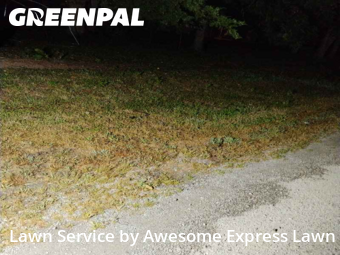 Yard Upkeep in Carbondale, 62901, Yard Upkeep by Awesome Express Lawn, work completed in Nov , 2025