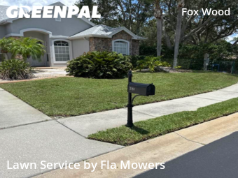 Grass Cutting nearby Trinity, FL, 