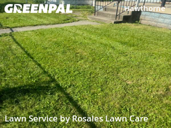 Lawn Service nearby Indianapolis, IN, 