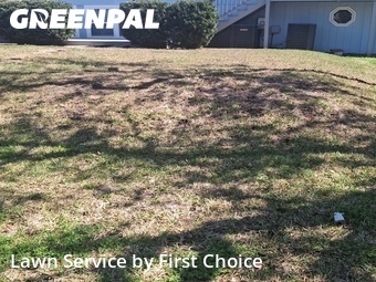 Lawn Care Service nearby St. Augustine, FL, 