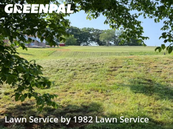 Yard Cutting nearby Conover, NC, 