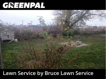 Lawn Care Service nearby Stone Park, IL, 
