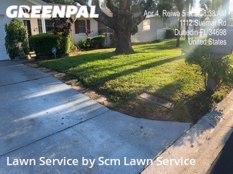 Grass Cutting nearby Dunedin, FL, 