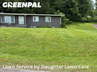 Lawn Work in Oak Ridge, 37830, Yard Maintenance by Slaughter Lawn Care, work completed in Nov , 2025