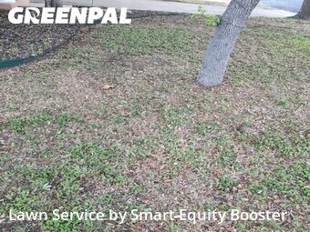 Grass Cutting nearby Round Rock, TX, 