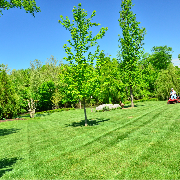 affordable-landscaping-maintenance-services-in-Harvey-IL