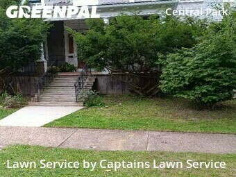 Grass Cut nearby Buffalo, NY, 
