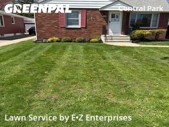 Lawn Cut nearby Buffalo, NY, 