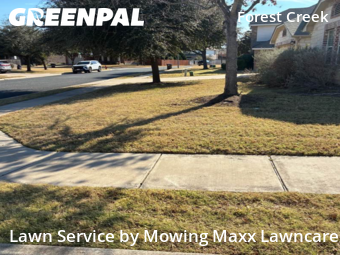 Lawn mowed in Round Rock, 78664