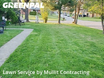 Lawn Mow nearby Lexington, KY, 