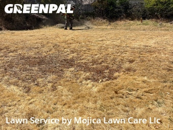 Lawn mowing work completed in Rocklin, CA