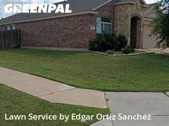 Lawn mowed in Princeton, 75407