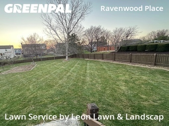 Lawn Cut nearby Olathe, KS, 