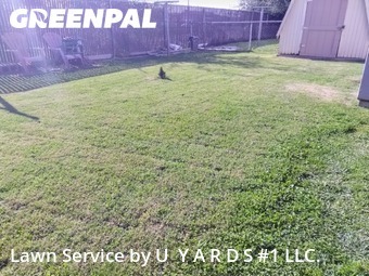 Lawn Mow nearby Riverbank, CA, 